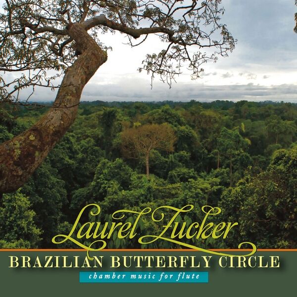 Cover art for Brazilian Butterfly Circle