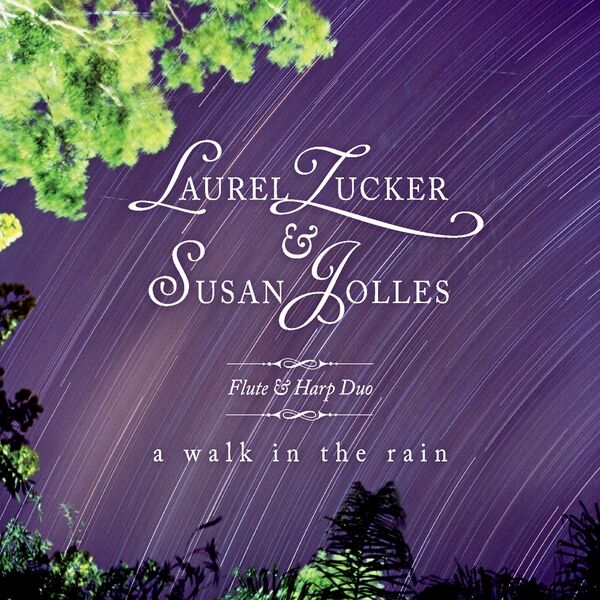 Cover art for A Walk in the Rain